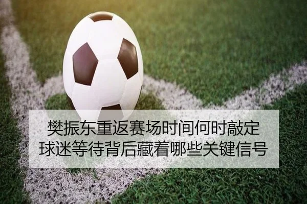 樊振东重返赛场时间何时敲定 球迷等待背后藏着哪些关键信号 | kaiyun