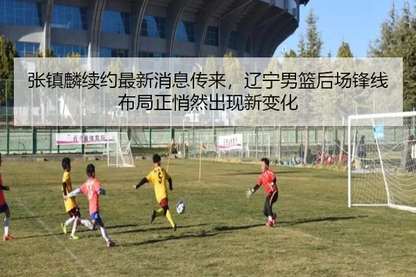 张镇麟续约最新消息传来，辽宁男篮后场锋线布局正悄然出现新变化 | kaiyun